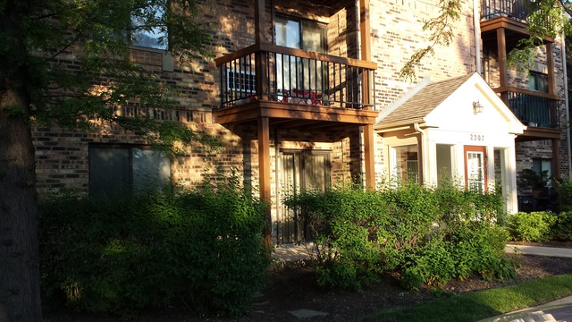 2207 West Nichols Road, Unit 25A Arlington Heights, IL 60004 - Photo 1 of 21