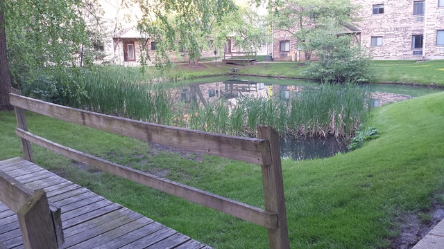 2207 West Nichols Road, Unit 25A Arlington Heights, IL 60004 - Photo 21 of 21