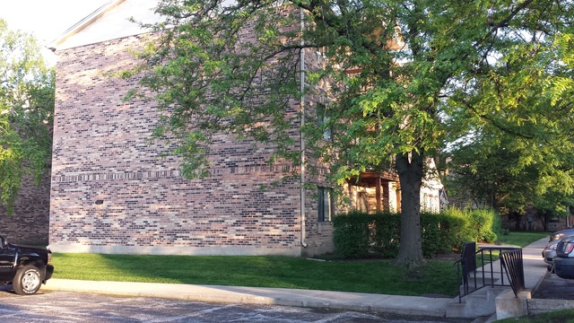 2207 West Nichols Road, Unit 25A Arlington Heights, IL 60004 - Photo 3 of 21