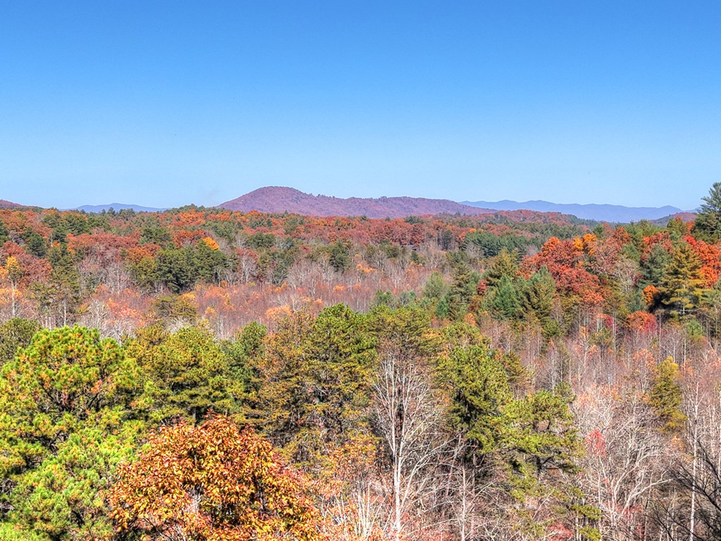 115 Hawks View Mineral Bluff, GA 30559 - Photo 11 of 57