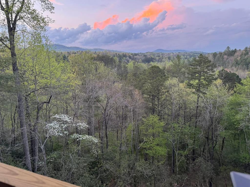 115 Hawks View Mineral Bluff, GA 30559 - Photo 49 of 57