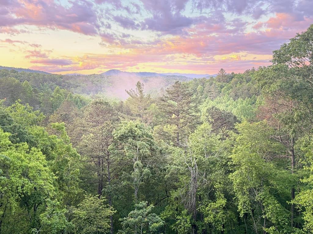 115 Hawks View Mineral Bluff, GA 30559 - Photo 51 of 57