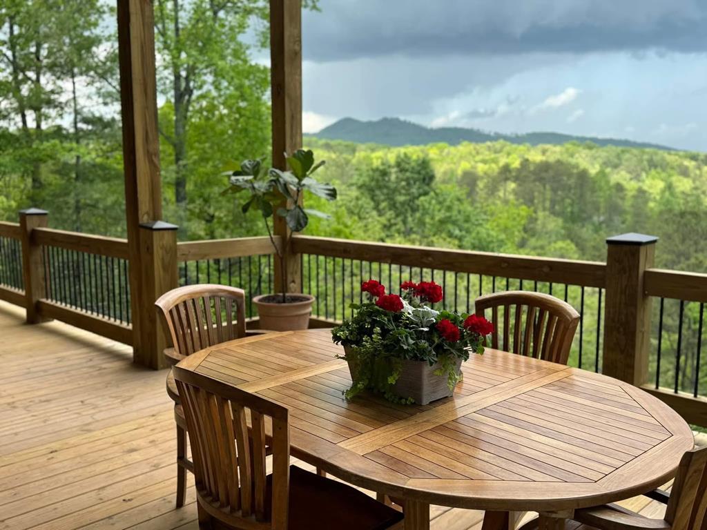 115 Hawks View Mineral Bluff, GA 30559 - Photo 52 of 57