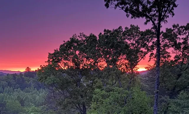 $1,097,777 | 115 Hawks View, Mineral Bluff, GA 30559