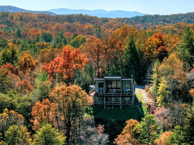 a view of a house with a yard and a large trees