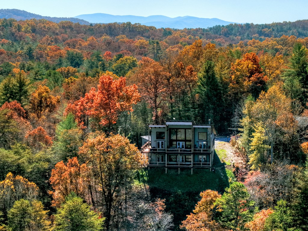 115 Hawks View Mineral Bluff, GA 30559 - Photo 6 of 57