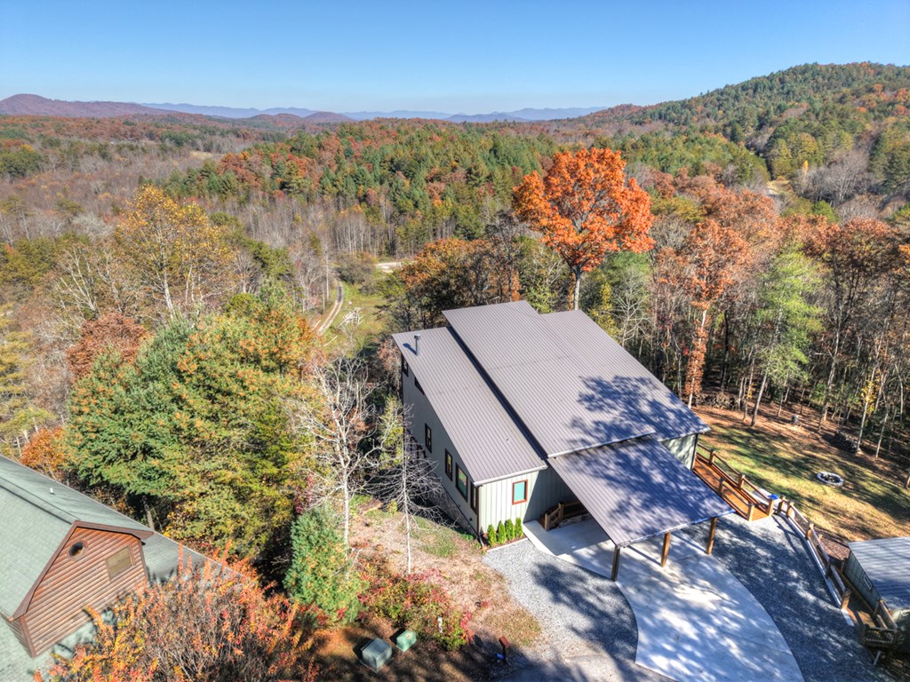 115 Hawks View Mineral Bluff, GA 30559 - Photo 7 of 57