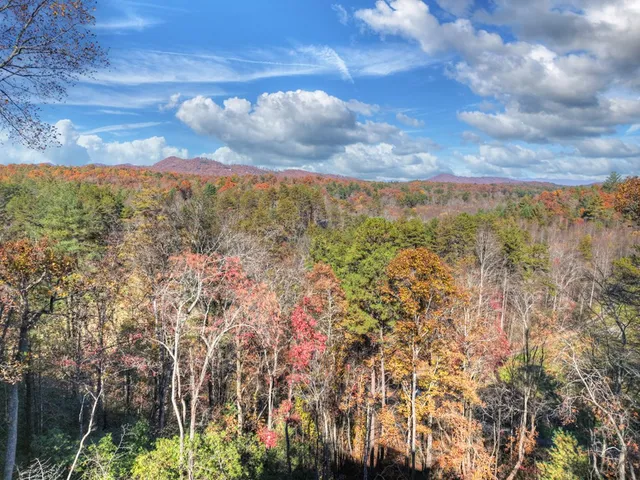 a view of a city with mountain