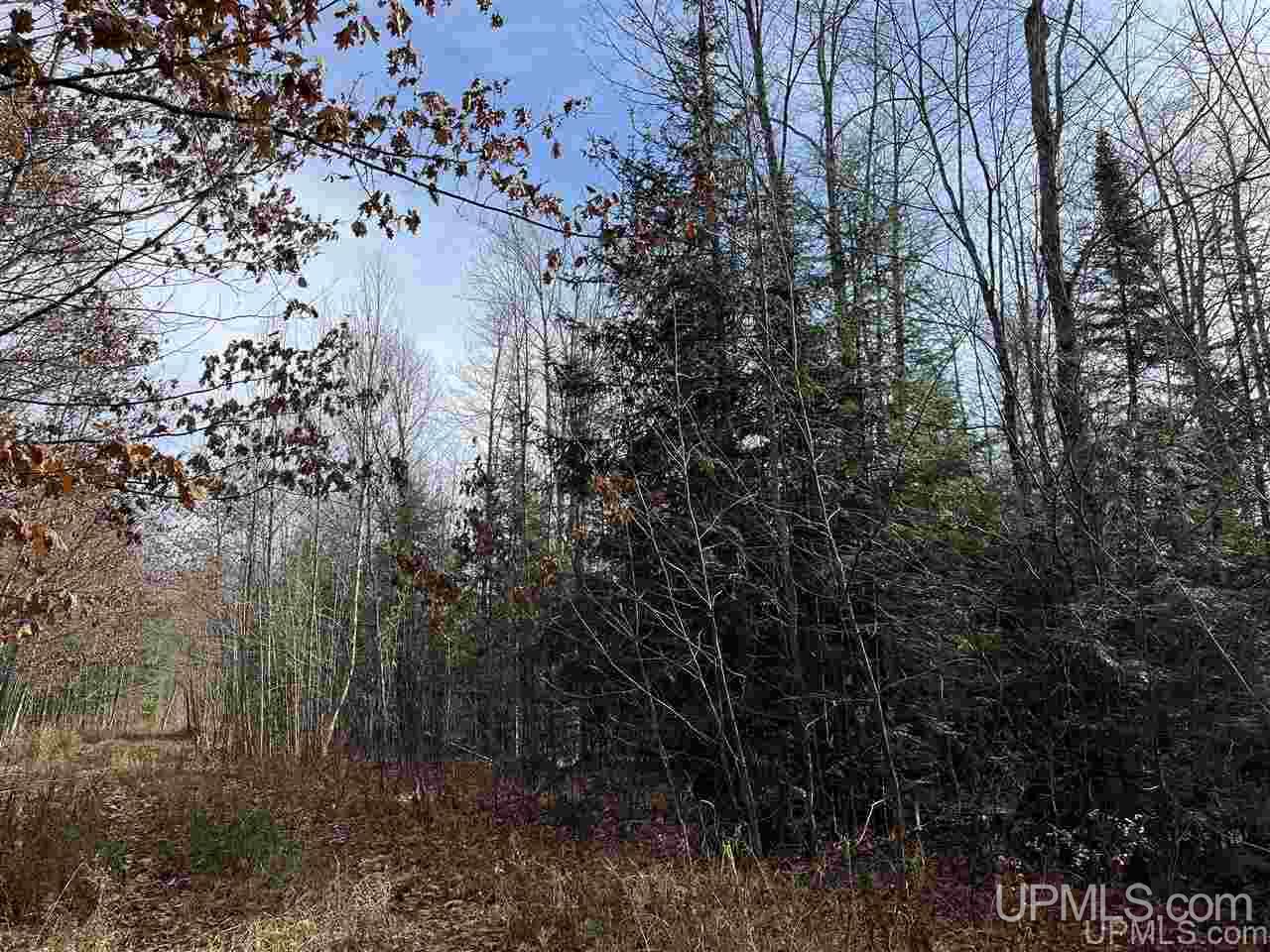 6978 W Coffee Road Montreal, WI 54550 - Photo 19 of 48