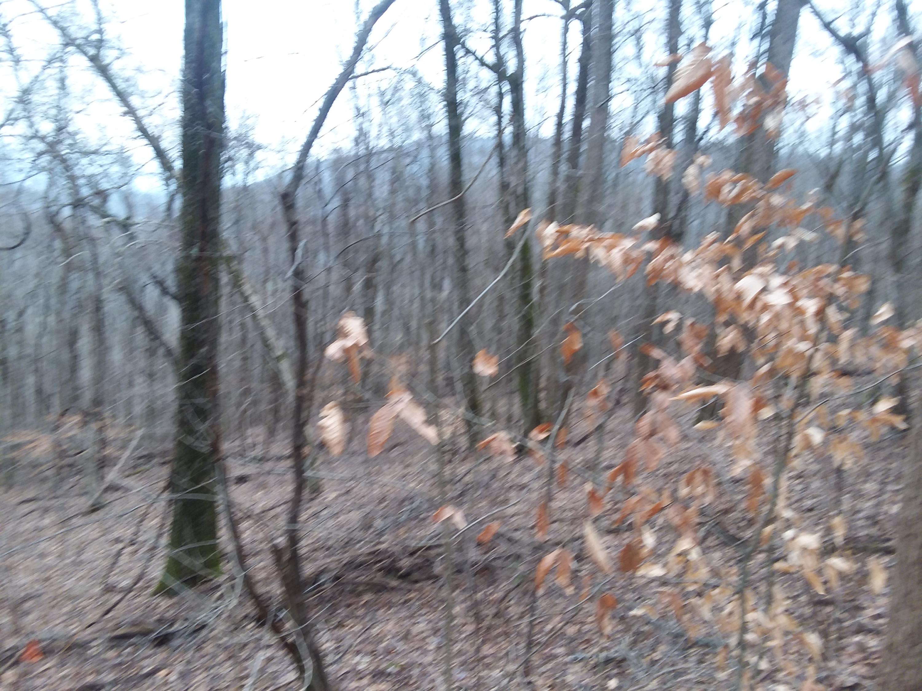 2 Fox Ridge Road, Unit 84 Pikeville, TN 37367 - Photo 3 of 6 20190207_083651