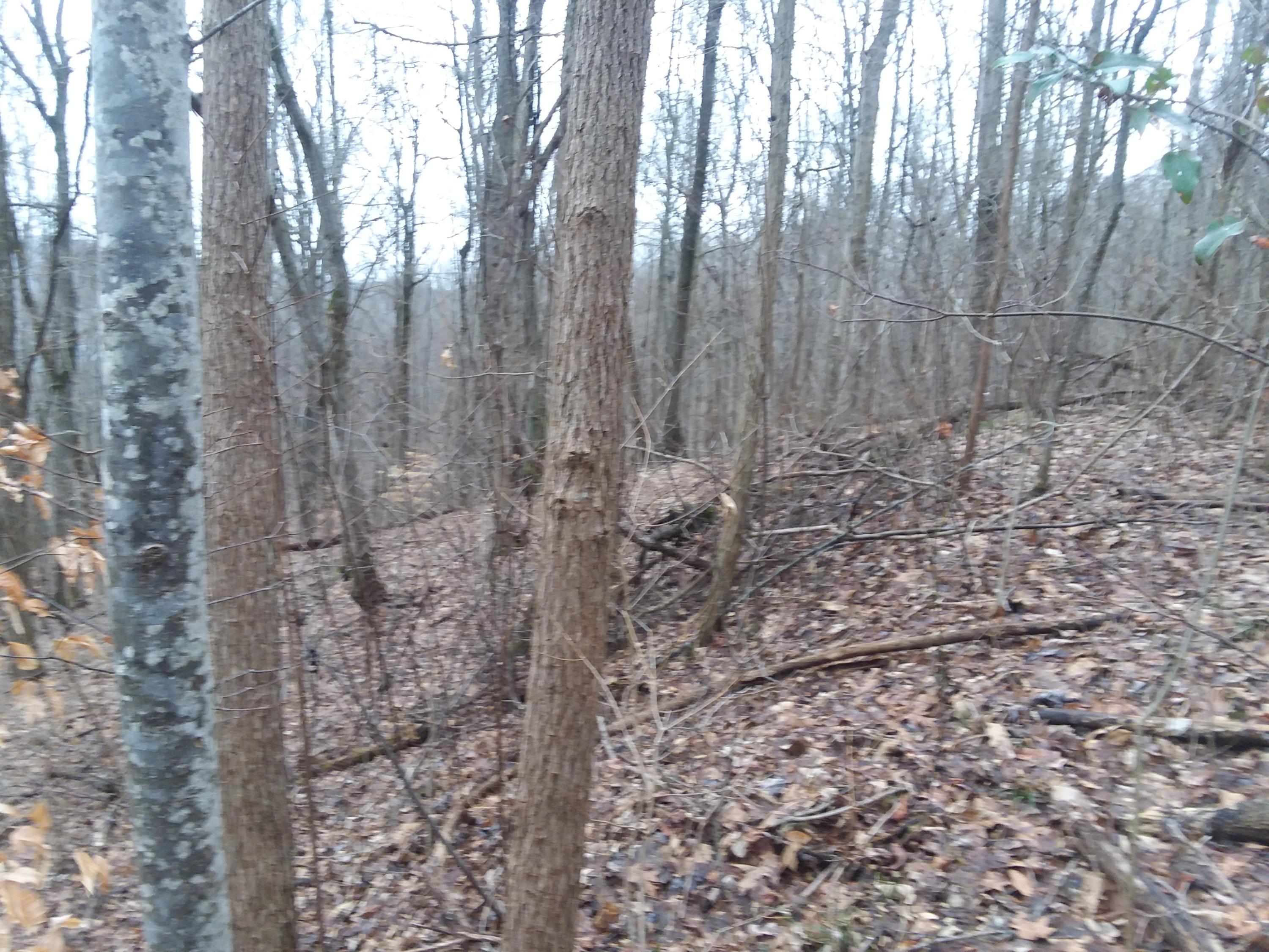 2 Fox Ridge Road, Unit 84 Pikeville, TN 37367 - Photo 4 of 6 20190207_083658