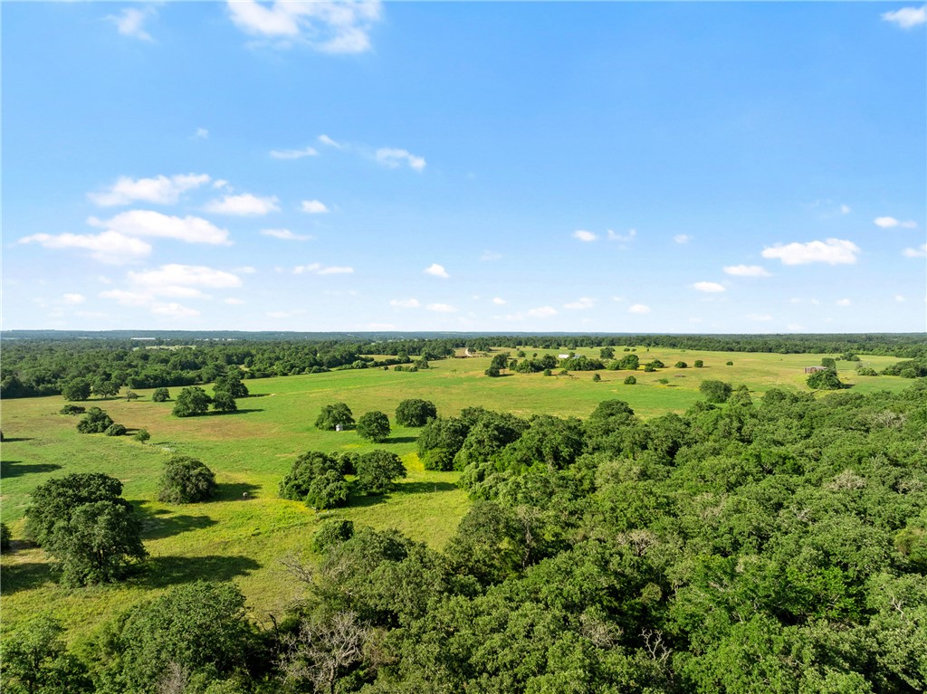 a view of a large body of water with lots of green space