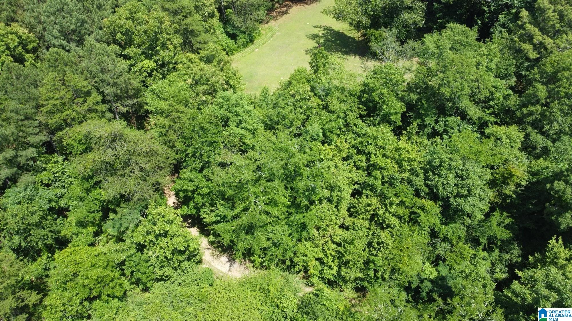 1034 Bob Glenn Road Morris, AL 35116 - Photo 56 of 60
