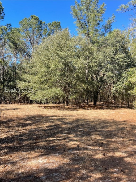 431 Stock Farm Road Ridgeland, SC 29936 - Photo 1 of 1 Gallery Image 1