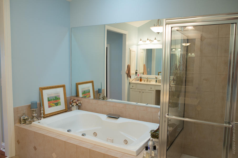 1445 Clancy Road Mount Pleasant, SC 29466 - Photo 19 of 37 Master bath with jacuzzi
