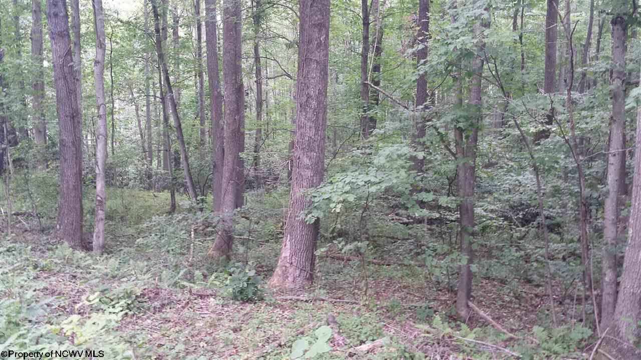 Tbd Grafton Road Morgantown, WV 26508 - Photo 1 of 3 Gallery Image 1