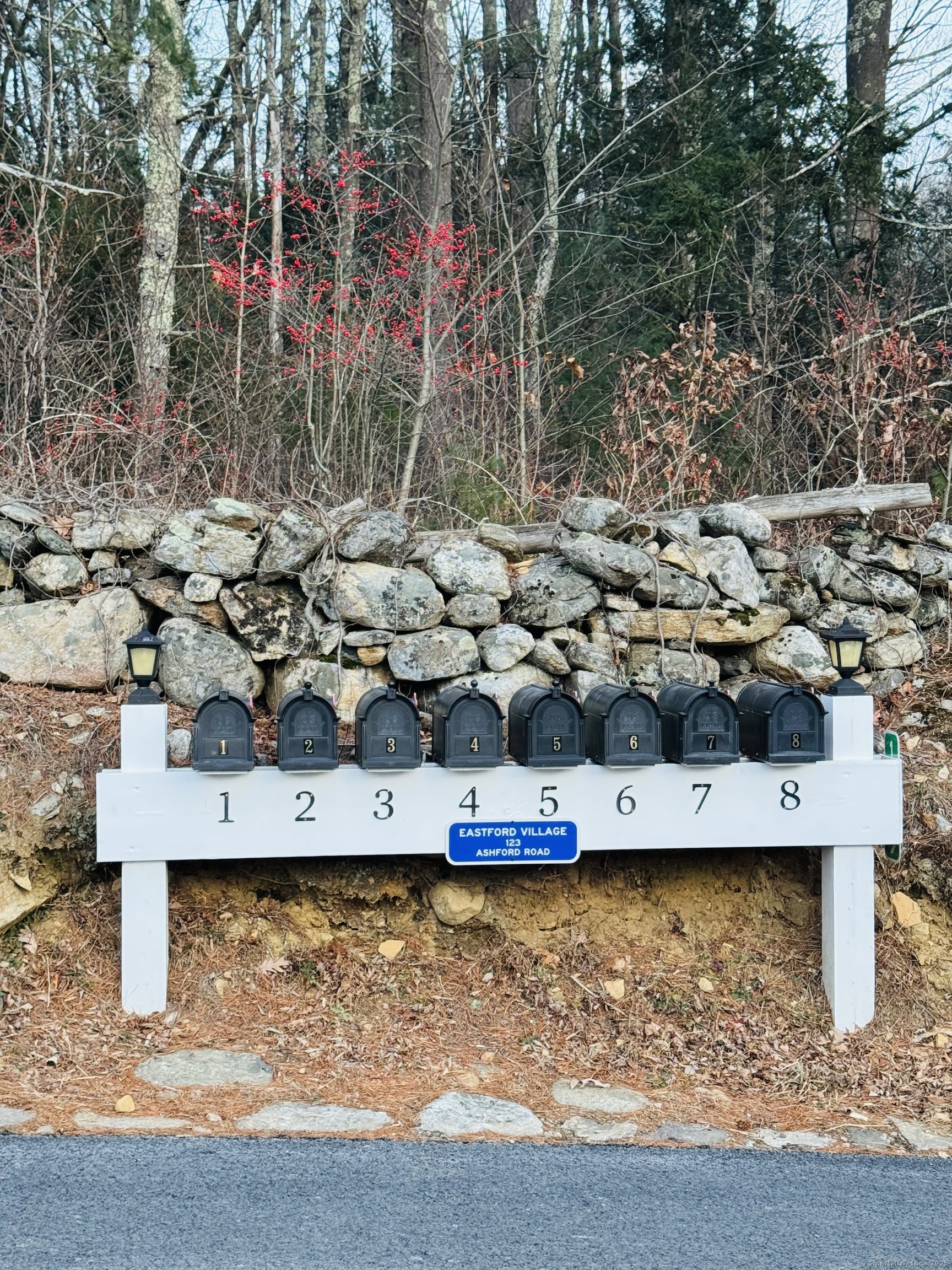 123 Ashford Road, Unit 1 Eastford, CT 06242 - Photo 24 of 24 a view of swimming pool with a yard