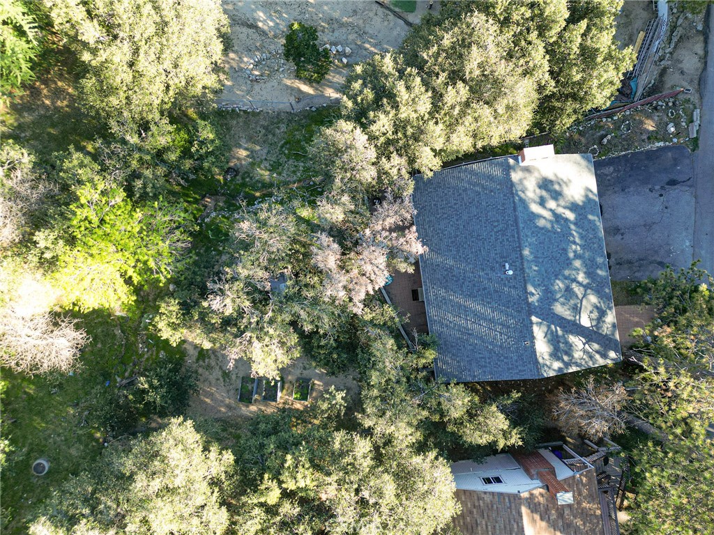 720 Rocky Loop Crestline, CA 92325 - Photo 42 of 48