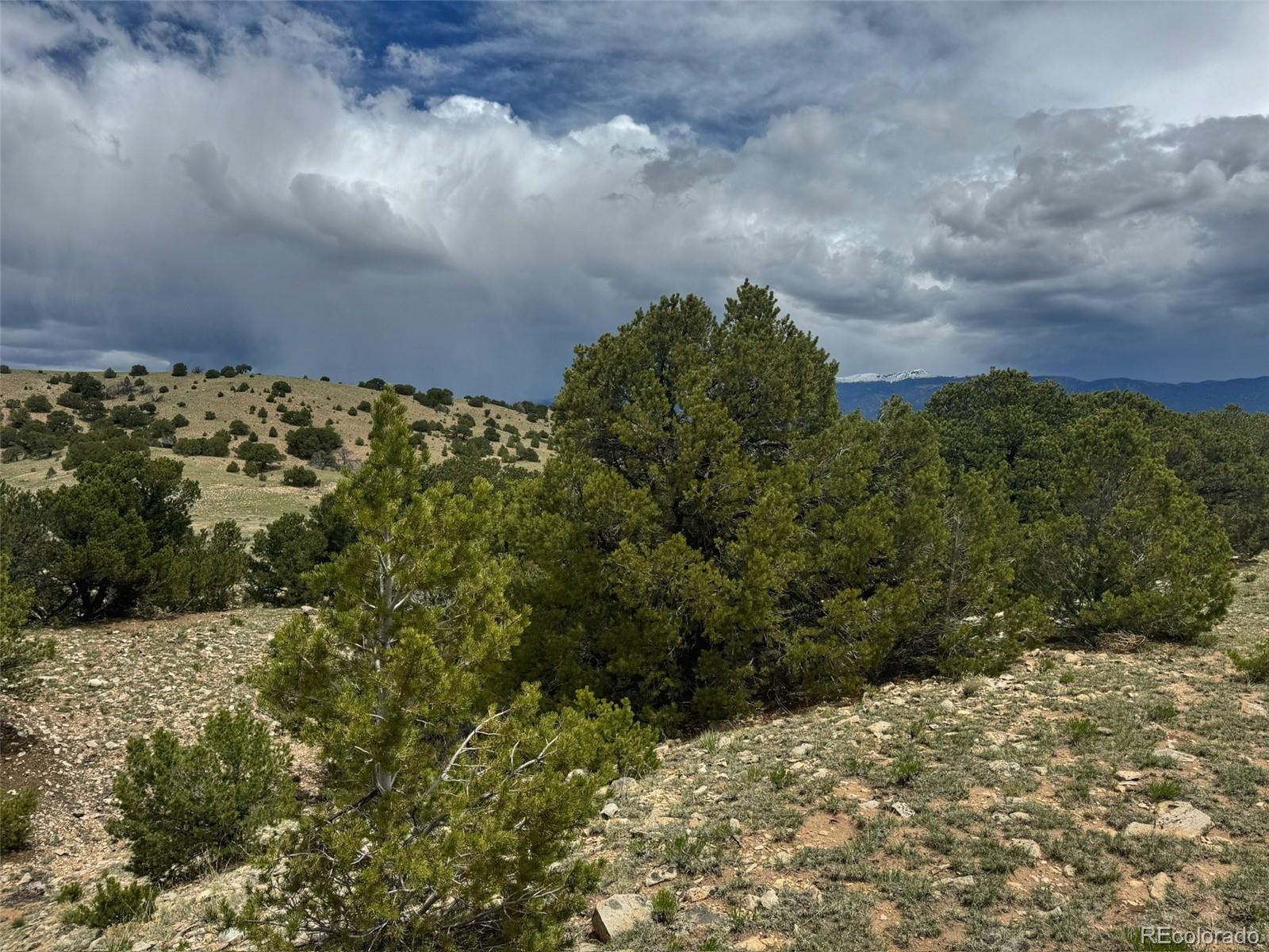 29 Dd Gardner, CO 81040 - Photo 2 of 17