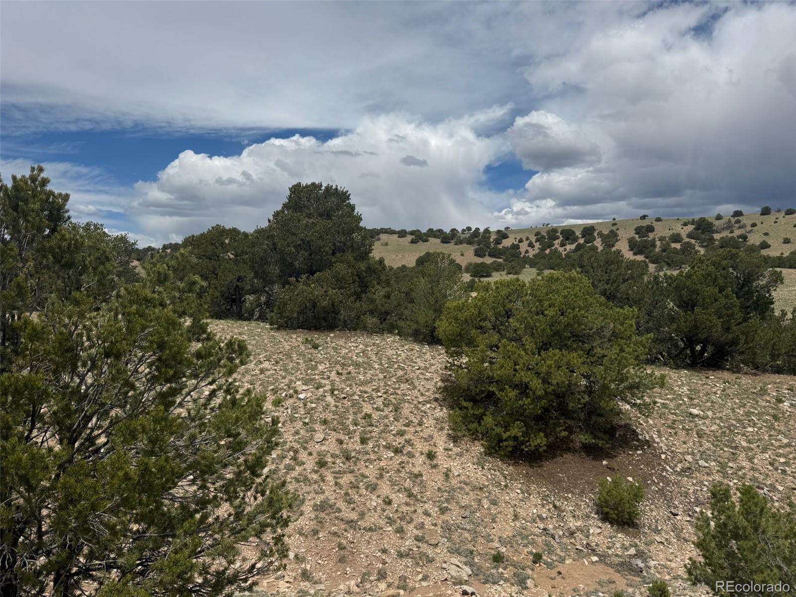 29 Dd Gardner, CO 81040 - Photo 4 of 17