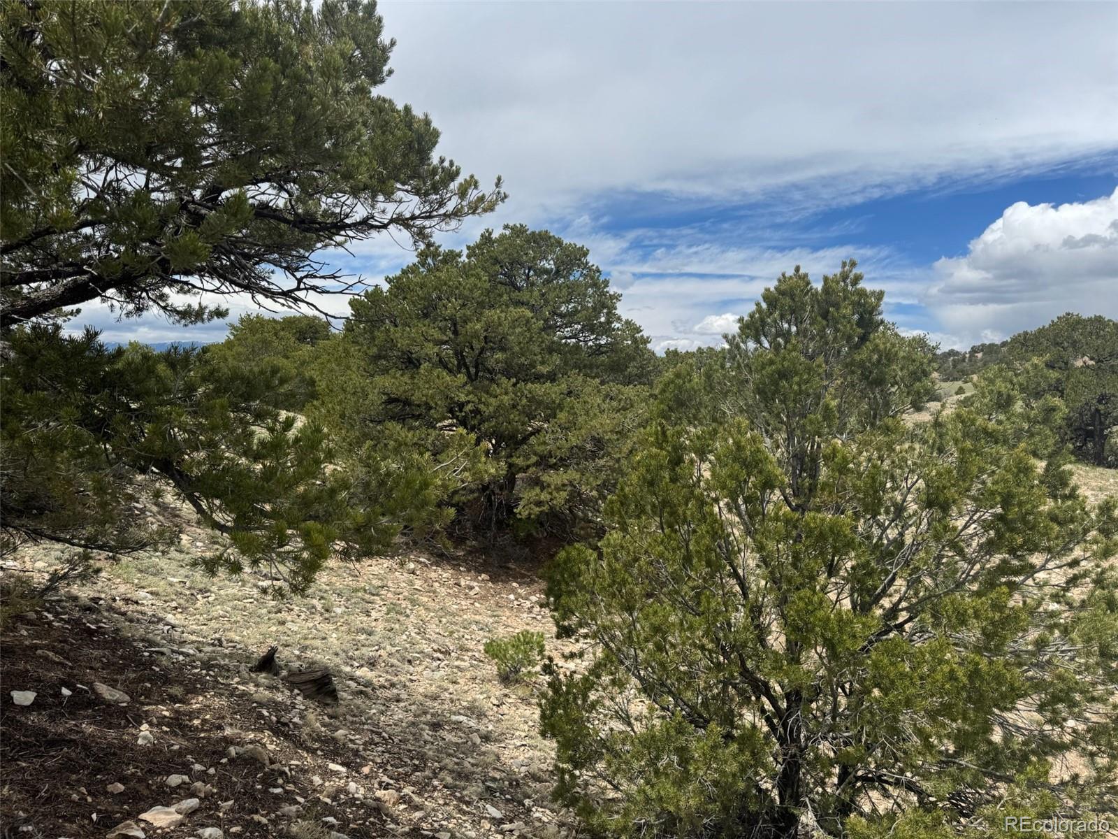 29 Dd Gardner, CO 81040 - Photo 6 of 17