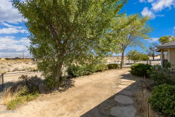 a view of a yard with plants and trees