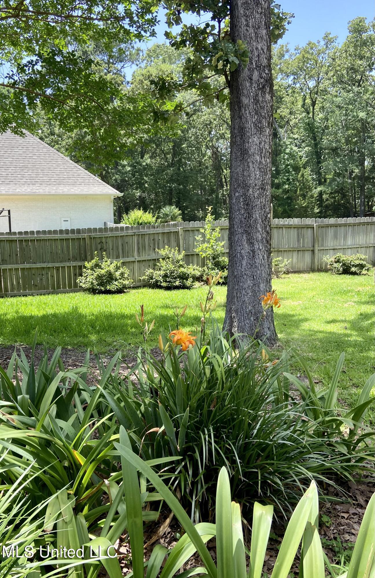 691 Hoy Road Madison, MS 39110 - Photo 42 of 47 Side backyard view