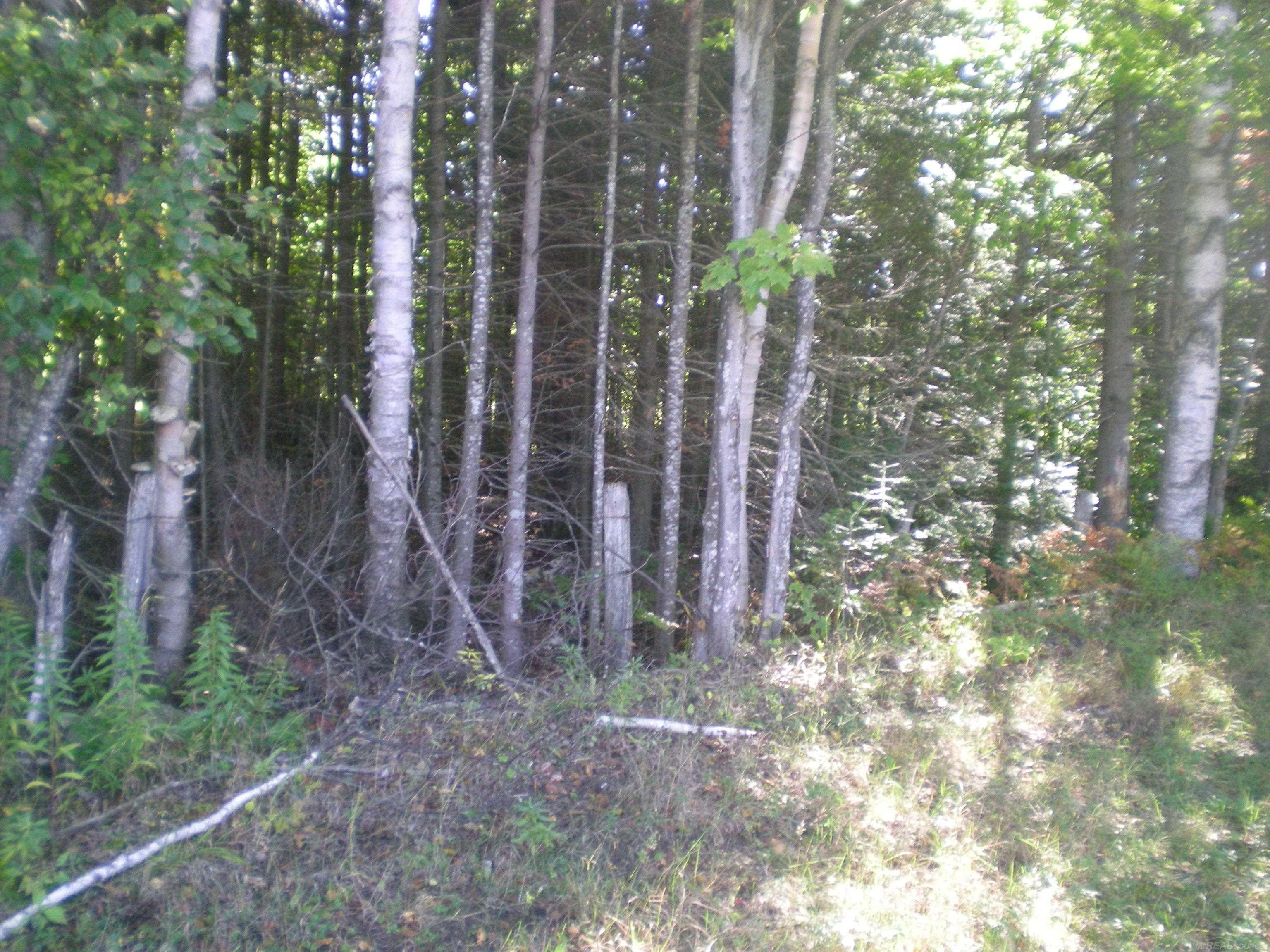 East Beedy Road Goetzville, MI 49736 - Photo 2 of 7