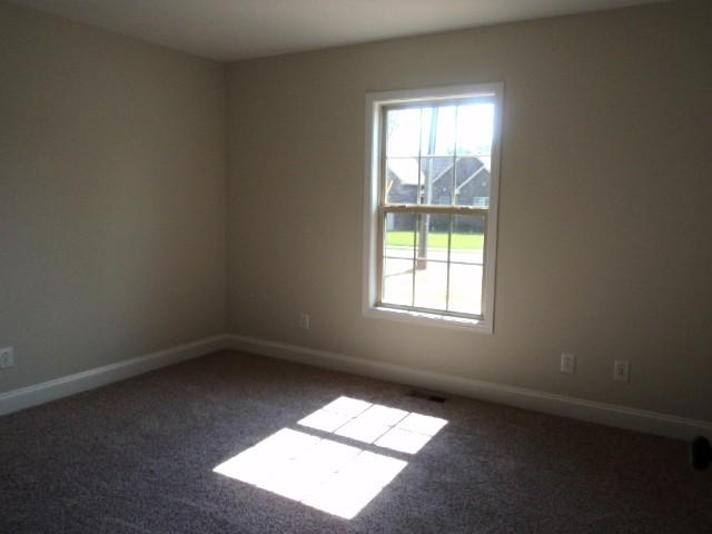 408 Sycamore Drive Springfield, TN 37172 - Photo 9 of 13 Guest Bedroom with upgraded freize carpeting