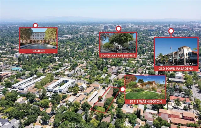 a view of a pathway with plants and large trees