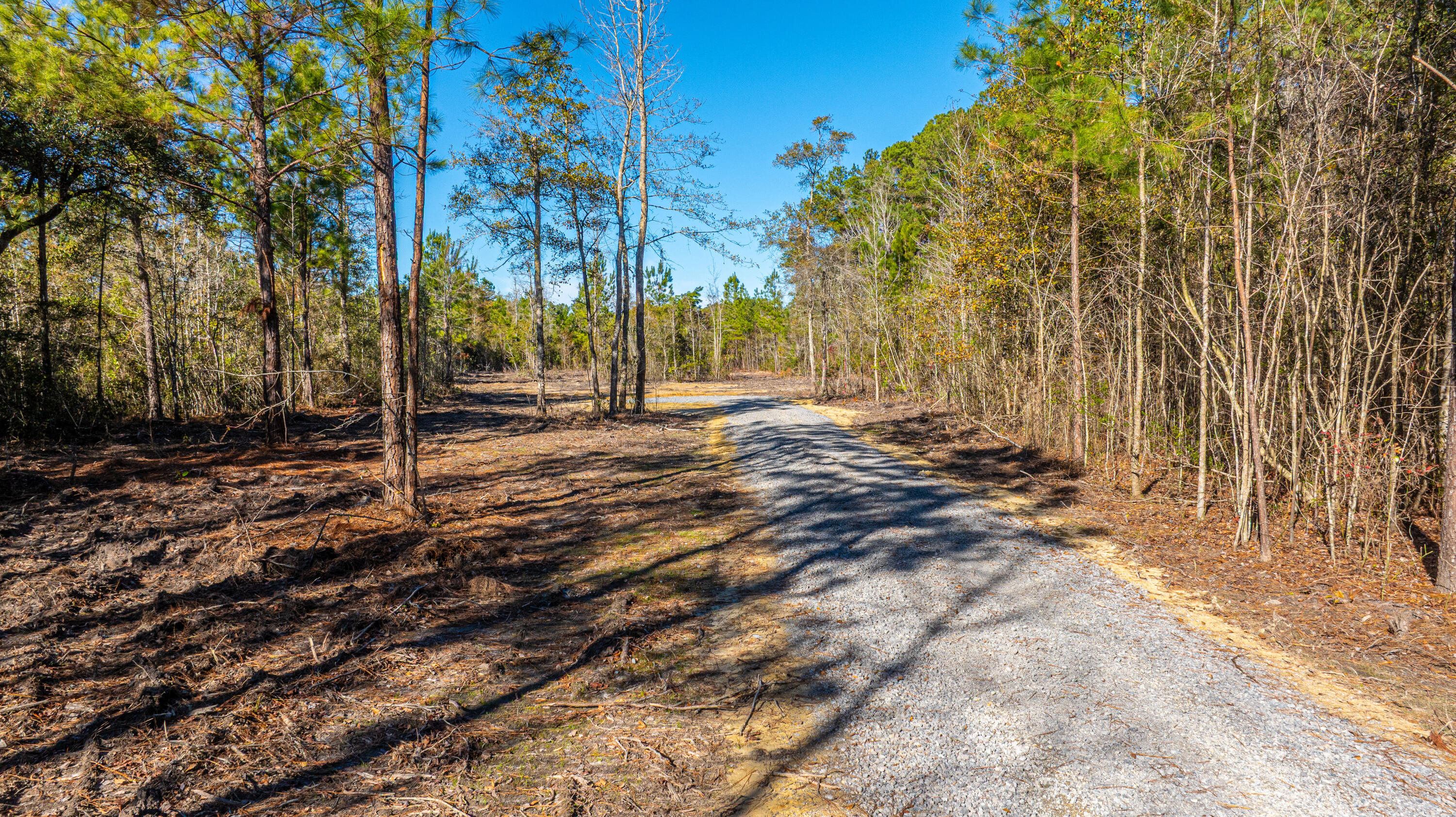 0 Yaremich Road Moncks Corner, SC 29461 - Photo 11 of 75 0YaremichLots064
