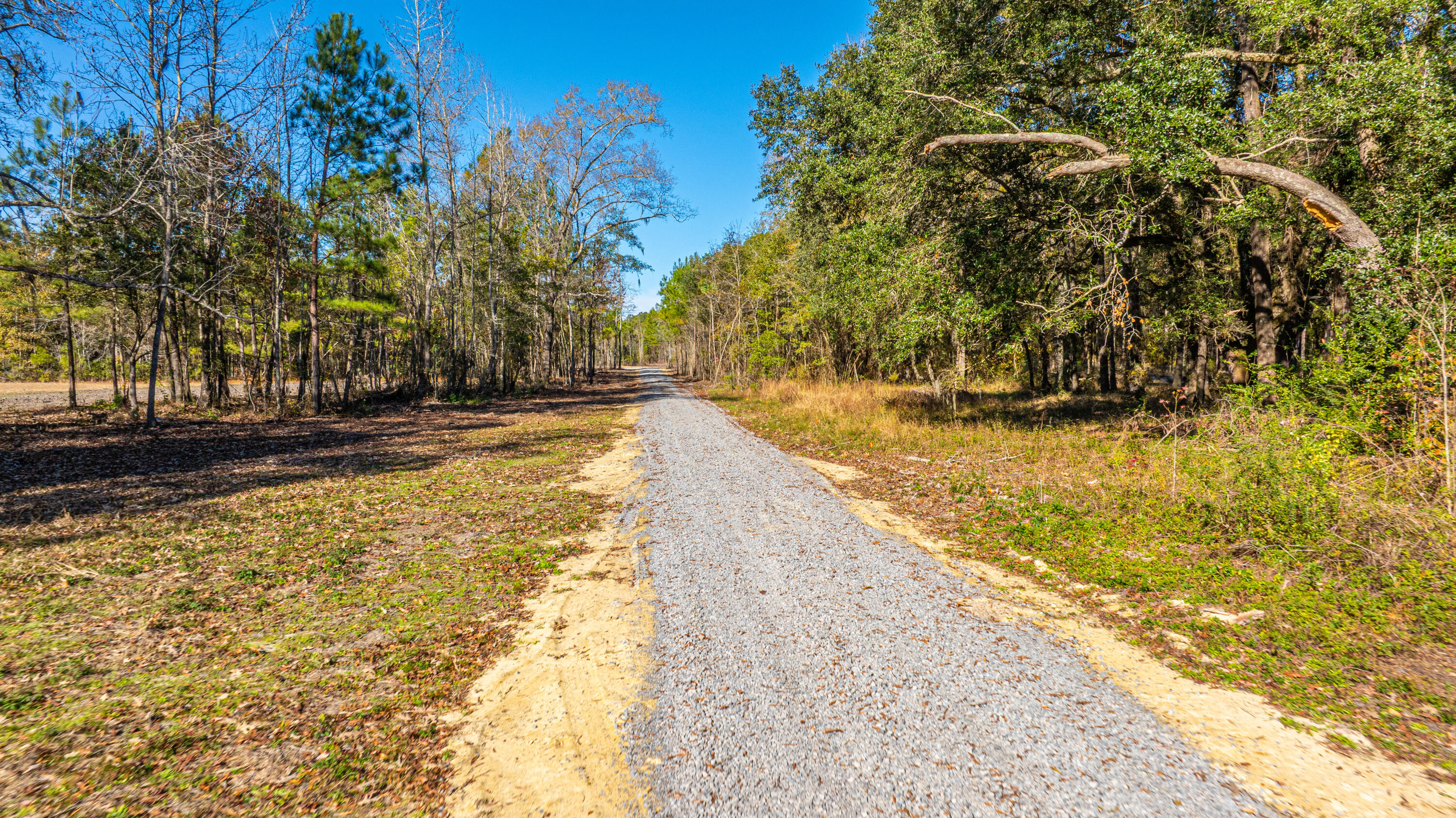 0 Yaremich Road Moncks Corner, SC 29461 - Photo 12 of 75 0YaremichLots059