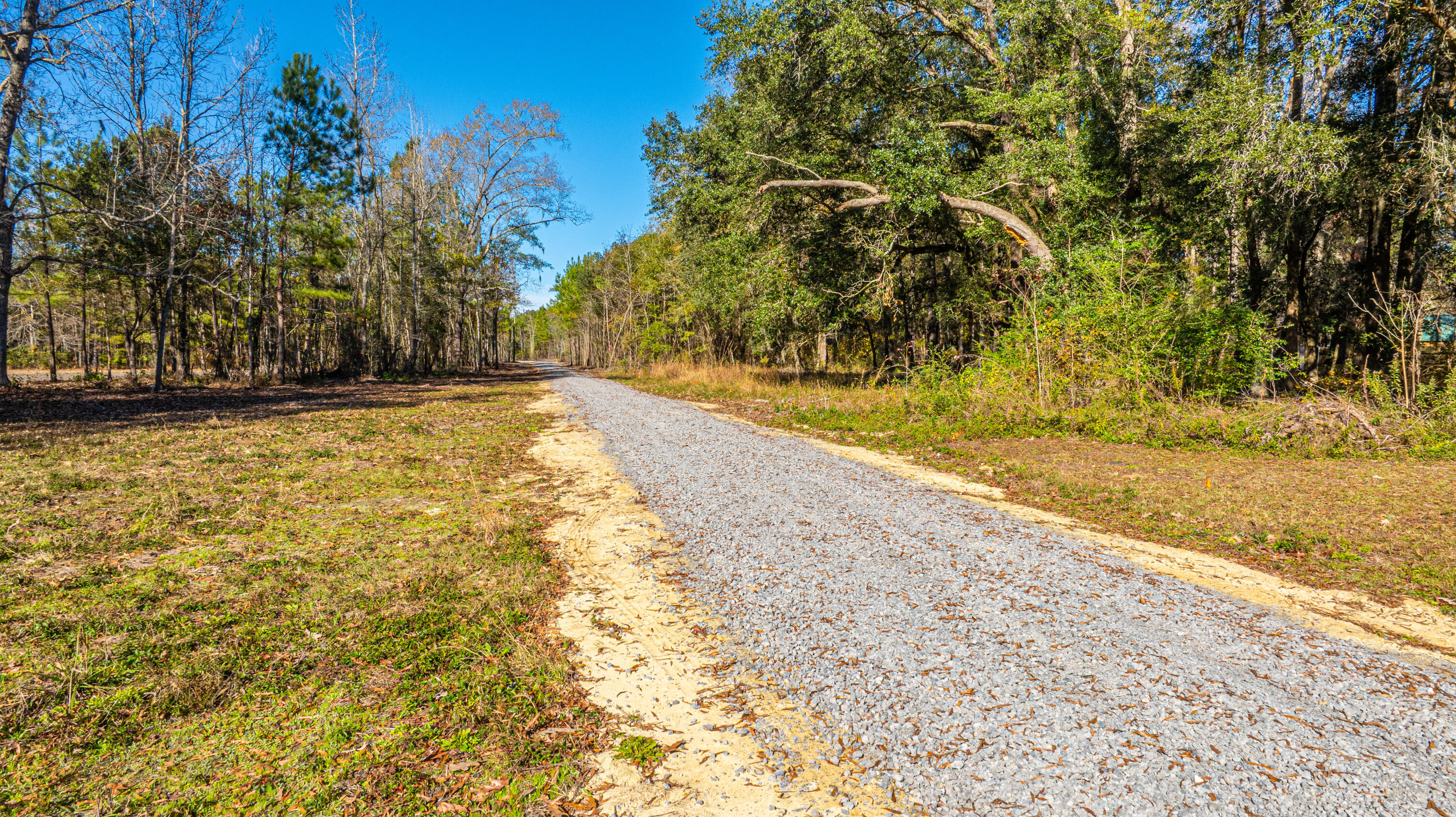 0 Yaremich Road Moncks Corner, SC 29461 - Photo 16 of 75 0YaremichLots058
