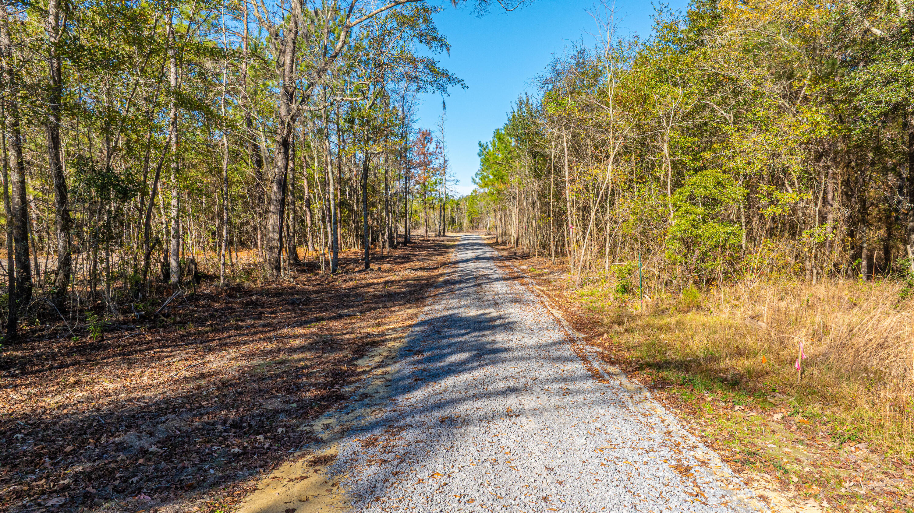 0 Yaremich Road Moncks Corner, SC 29461 - Photo 17 of 75 0YaremichLots061