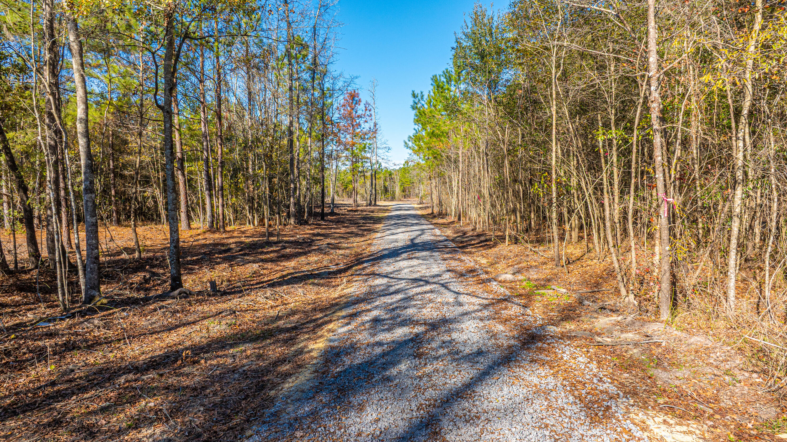 0 Yaremich Road Moncks Corner, SC 29461 - Photo 18 of 75 0YaremichLots062