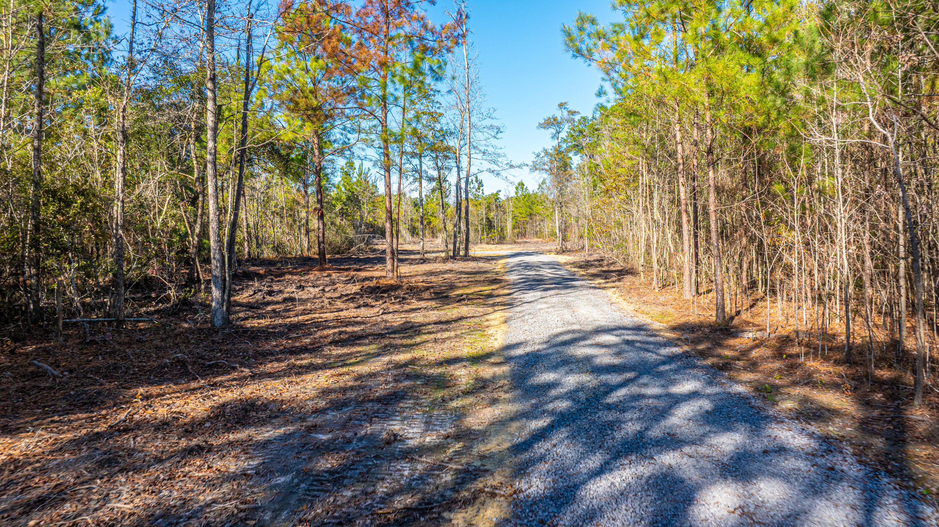 0 Yaremich Road Moncks Corner, SC 29461 - Photo 19 of 75 0YaremichLots063