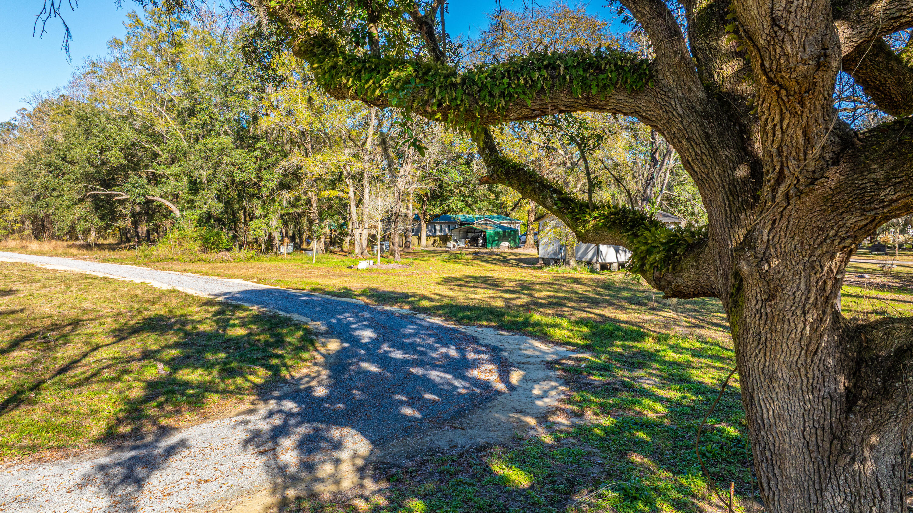 0 Yaremich Road Moncks Corner, SC 29461 - Photo 8 of 75 0YaremichLots054
