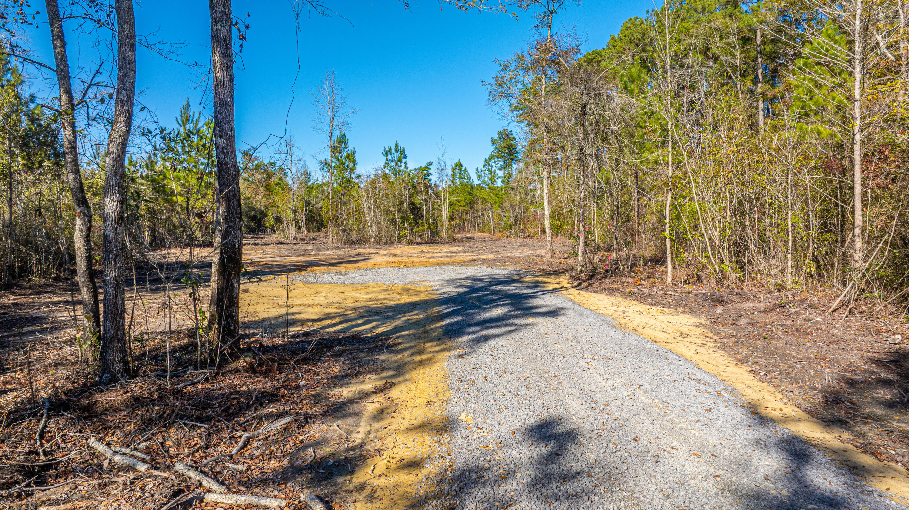 0 Yaremich Road Moncks Corner, SC 29461 - Photo 10 of 75 0YaremichLots066