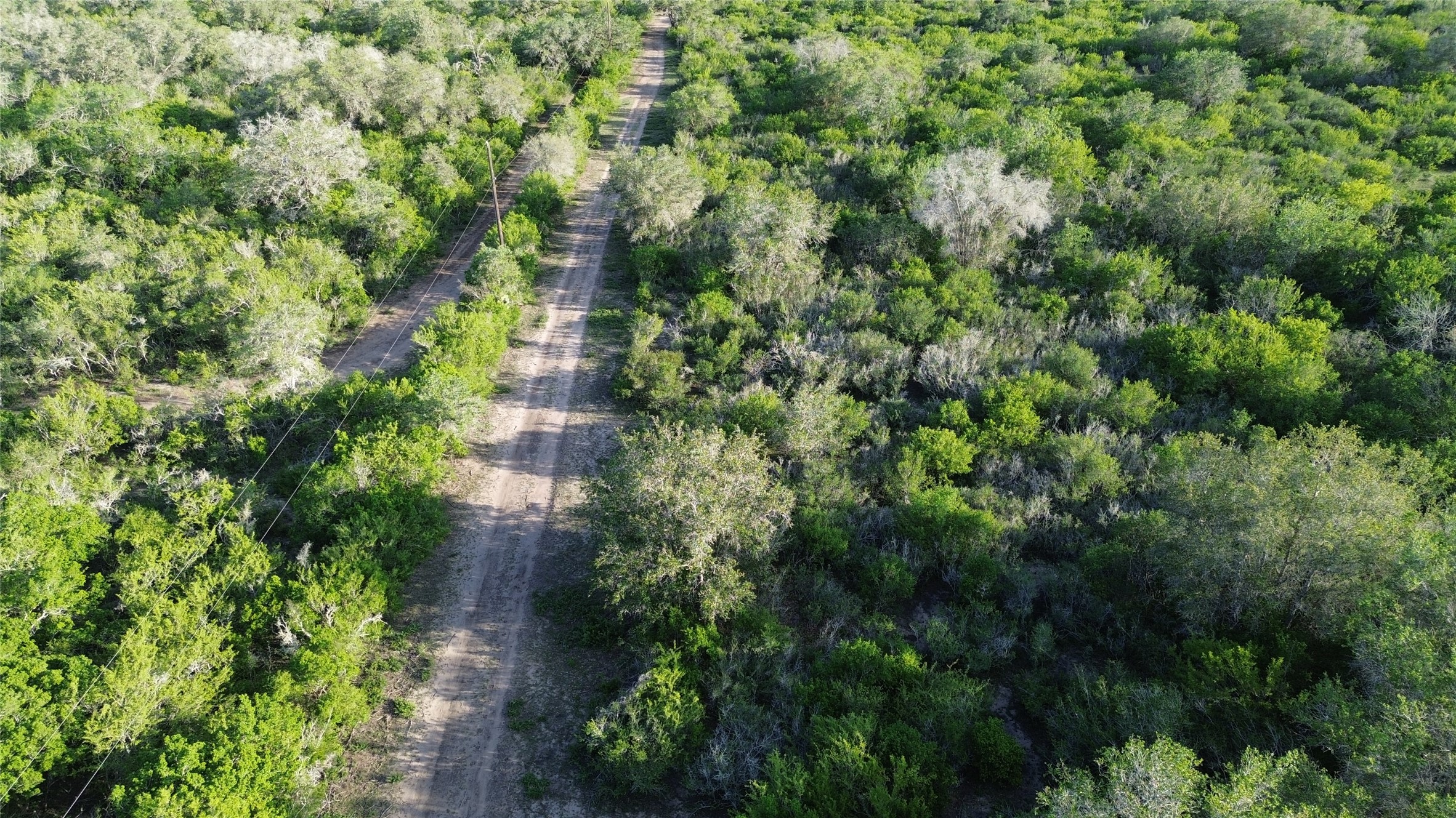 6104 Lucas Road Goliad, TX 77963 - Photo 26 of 32 an aerial view of residential houses with outdoor space and trees
