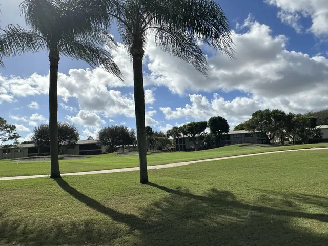 a view of a yard with large trees