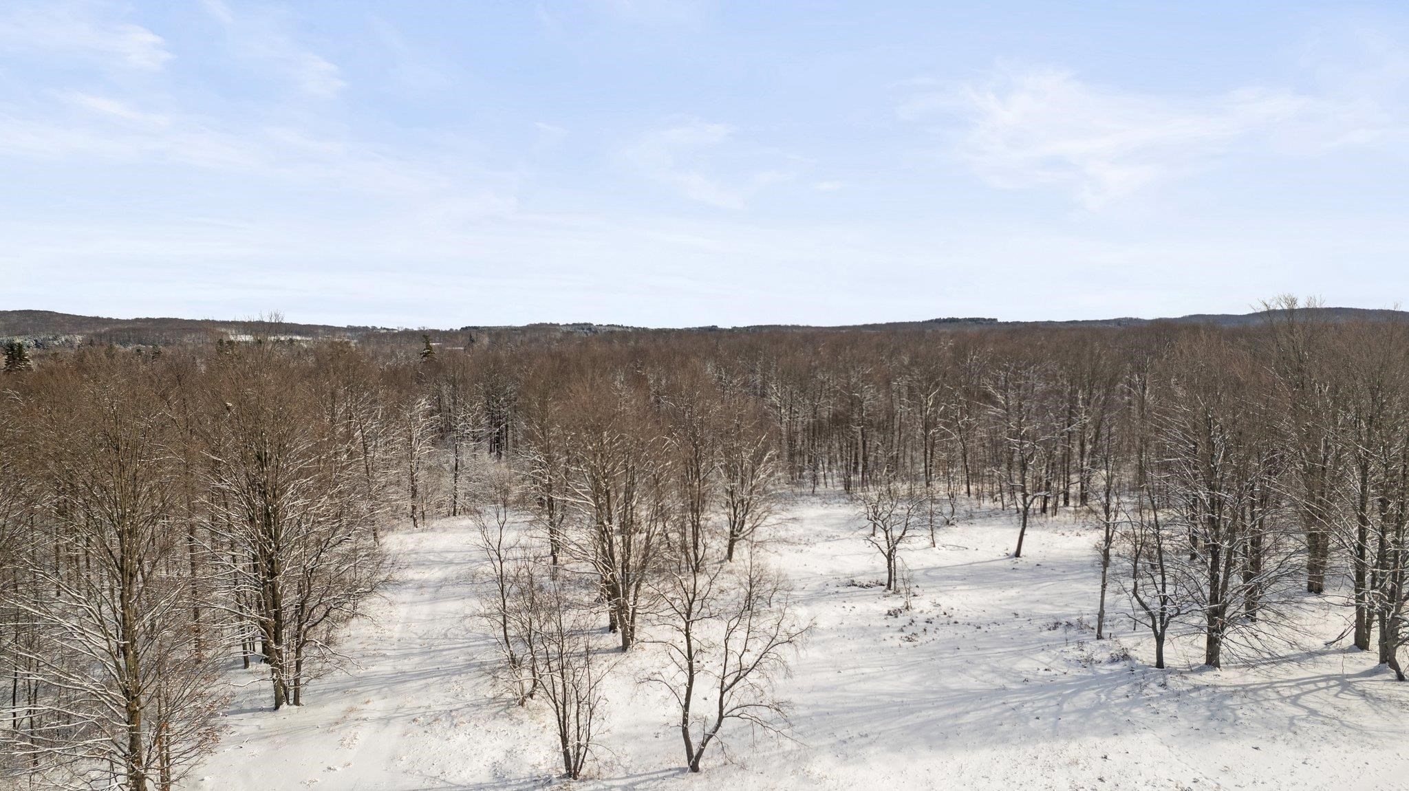 0 East 14th Road Manton, MI 49663 - Photo 15 of 38