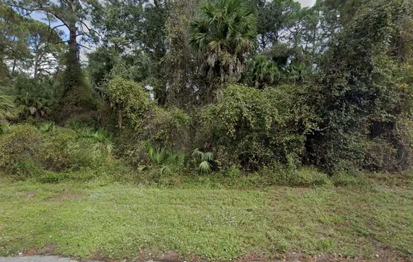 a view of a yard with a tree