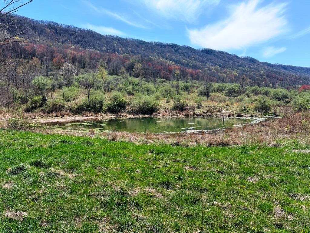 196-ac Gratton Road Tazewell, VA 24651 - Photo 26 of 29 Gallery Image 26