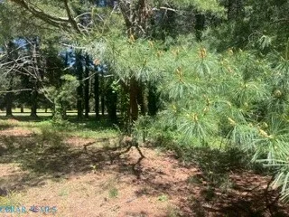 $115,000 | 0 Laurel Haven Drive, Hayes, VA 23072