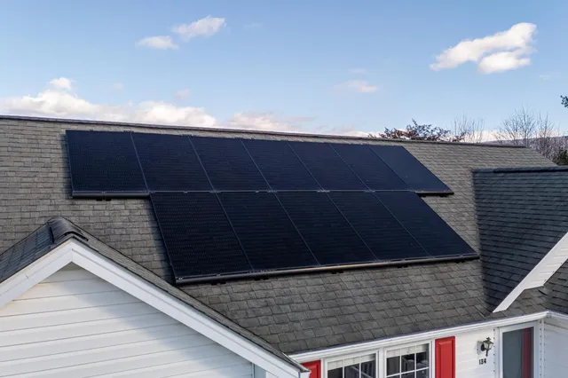 a view of a yard with large trees