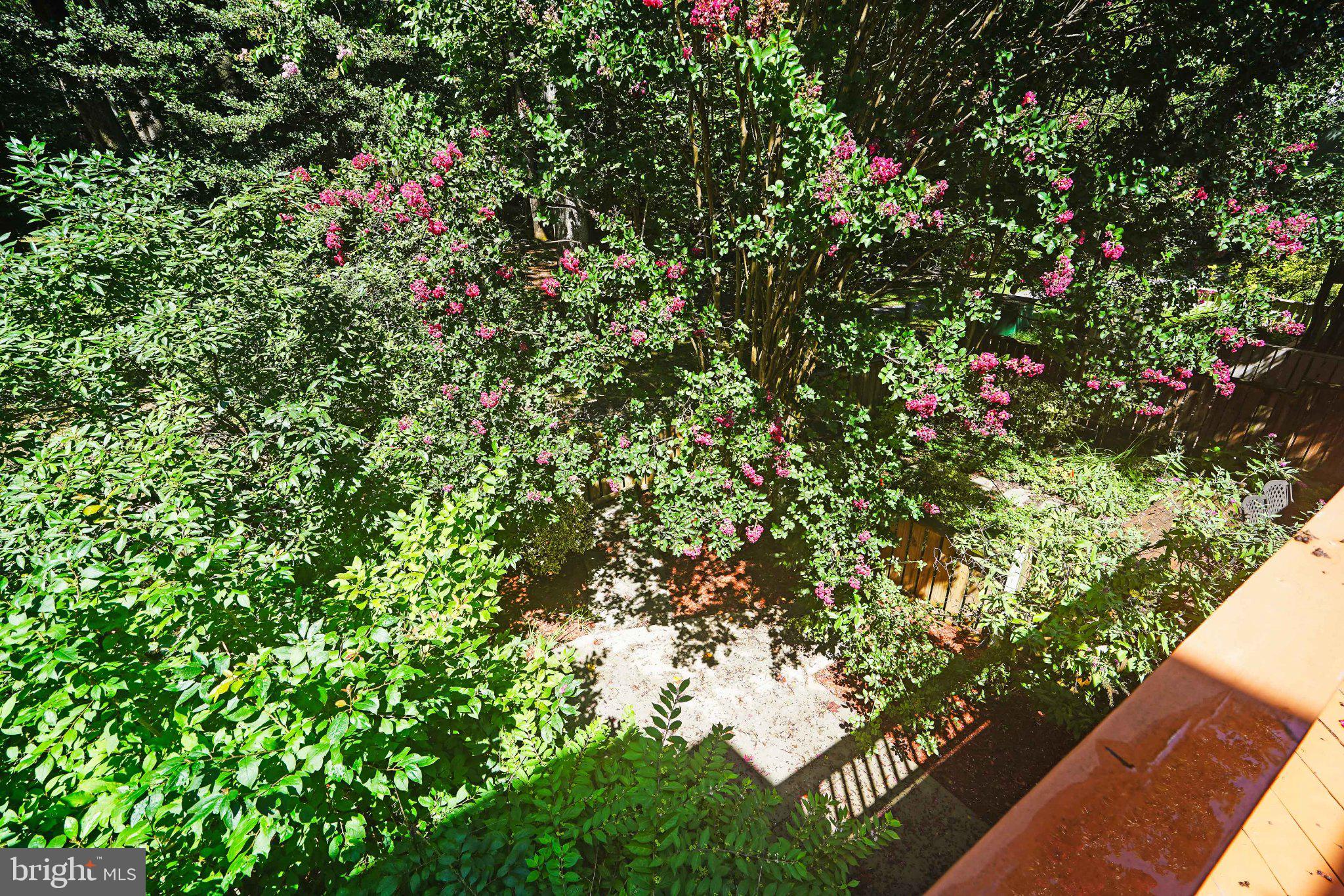 2382 Generation Drive Reston, VA 20191 - Photo 36 of 49 Lush garden oasis with vibrant blooms.
