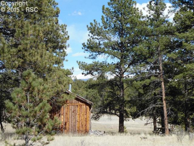 1170 Doe Valley Road Guffey, CO 80820 - Photo 4 of 14 And looks right at Pikes Peak to the east