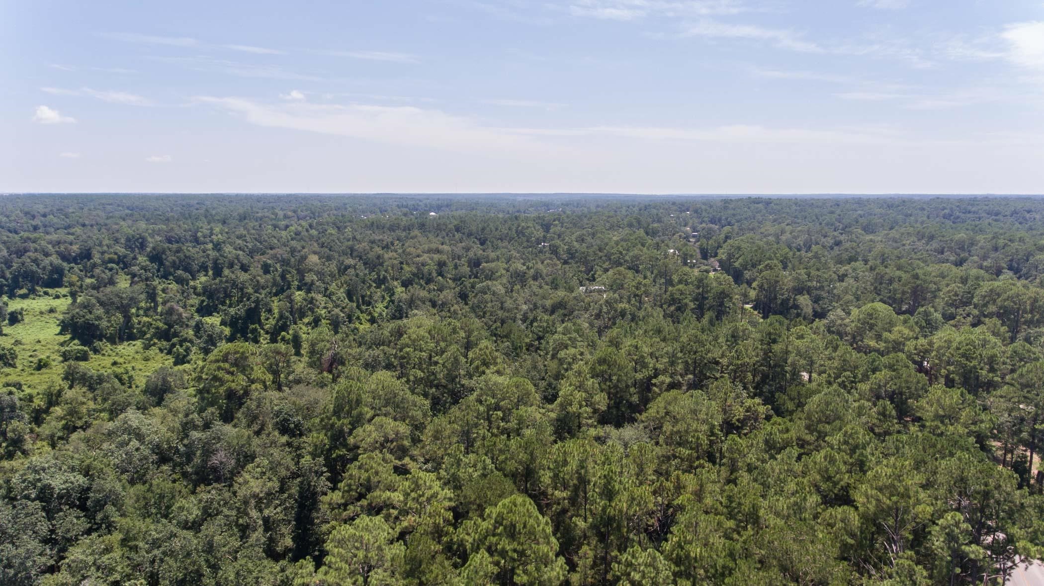 17869 River Road Summerdale, AL 36580 - Photo 74 of 79 Aerial View