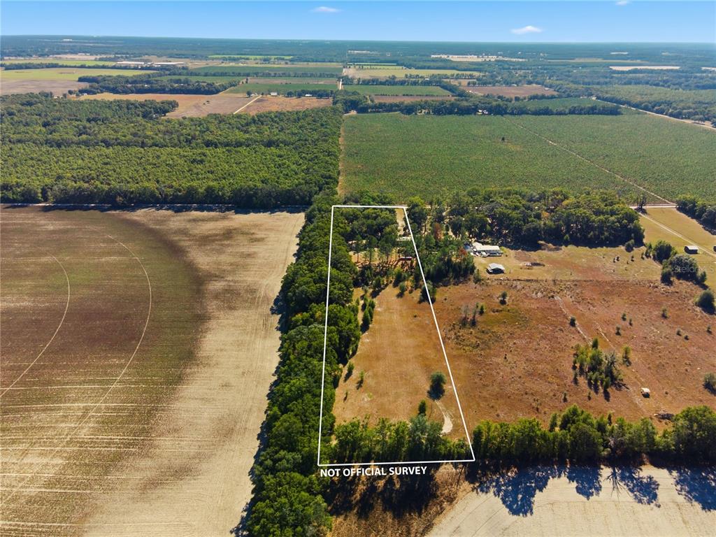 4506 Northwest 10th Street Bell, FL 32619 - Photo 4 of 50 a view of a lake with a yard