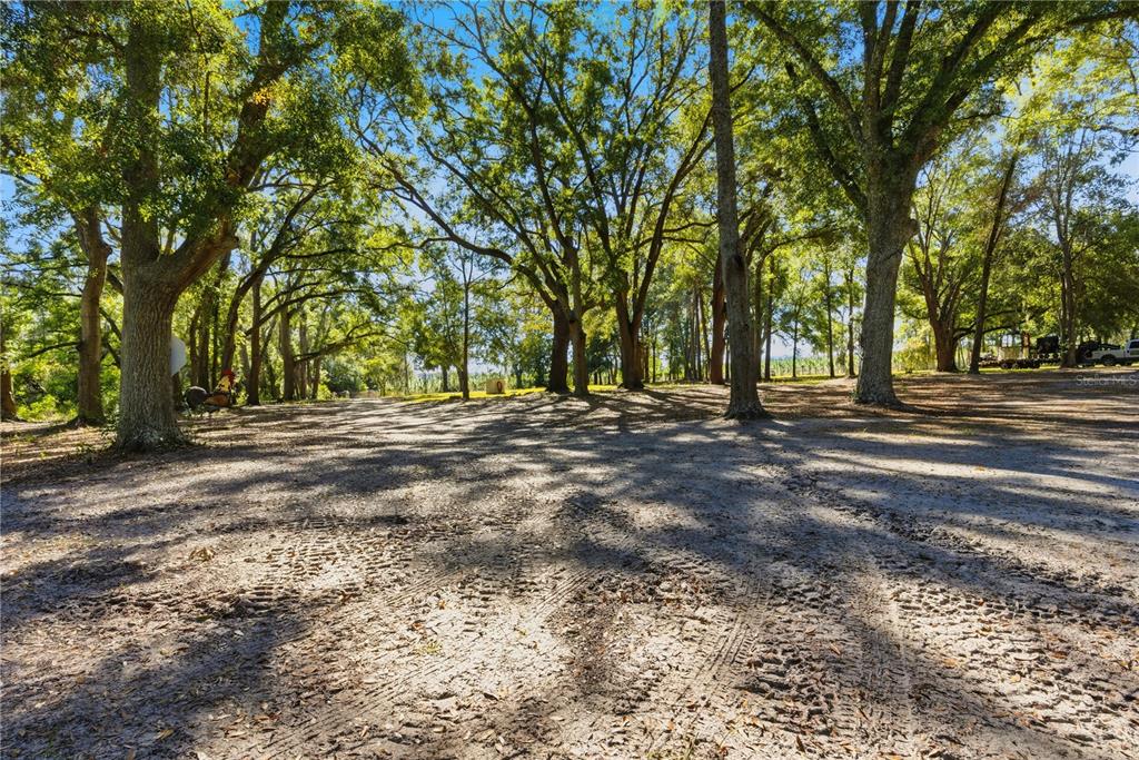 4506 Northwest 10th Street Bell, FL 32619 - Photo 49 of 50